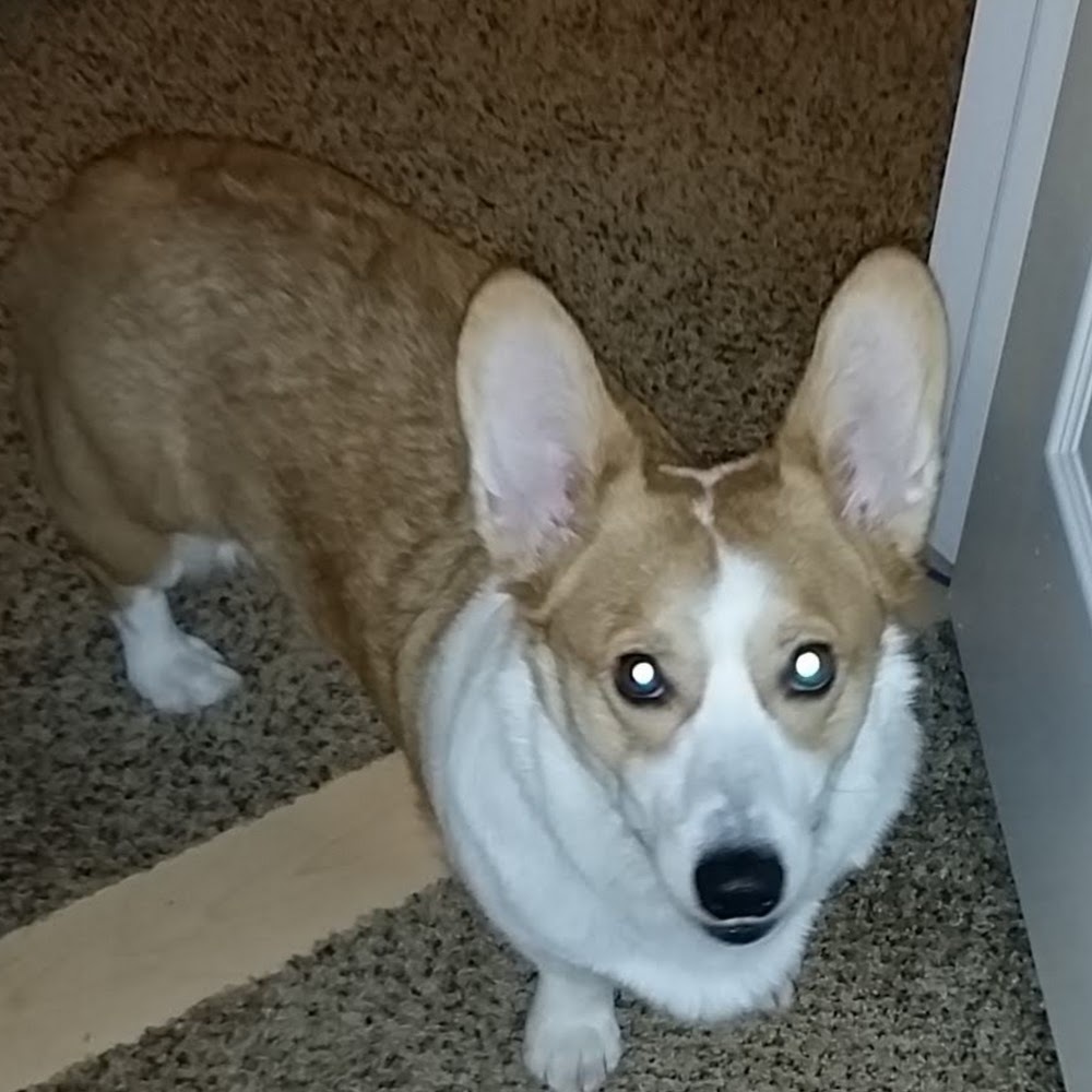 Meet your Posher, Long